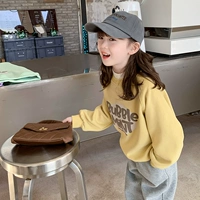 Осенняя детская утепленная толстовка, в корейском стиле, в западном стиле, подходит для подростков