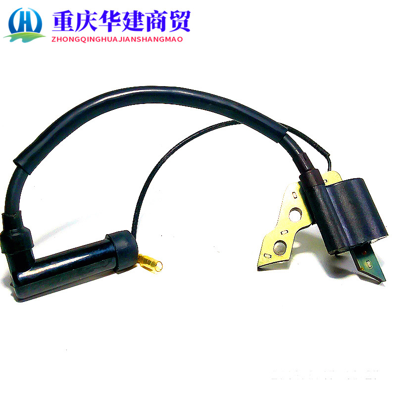 154F 154F 156F PETROL ENGINE IGNITOR 098 1KW 1200 GENERATOR IGNITER BOOSTER HIGH PRESSURE BAG