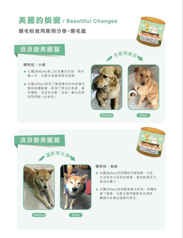 Bột trứng cút Đài Loan 200g bột chó mèo làm đẹp tóc jinmaotaidi sản phẩm dinh dưỡng đặc biệt 毛 - Cat / Dog Health bổ sung