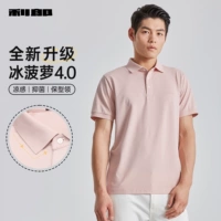 Гираторный порошок (G5XTX8369Y)