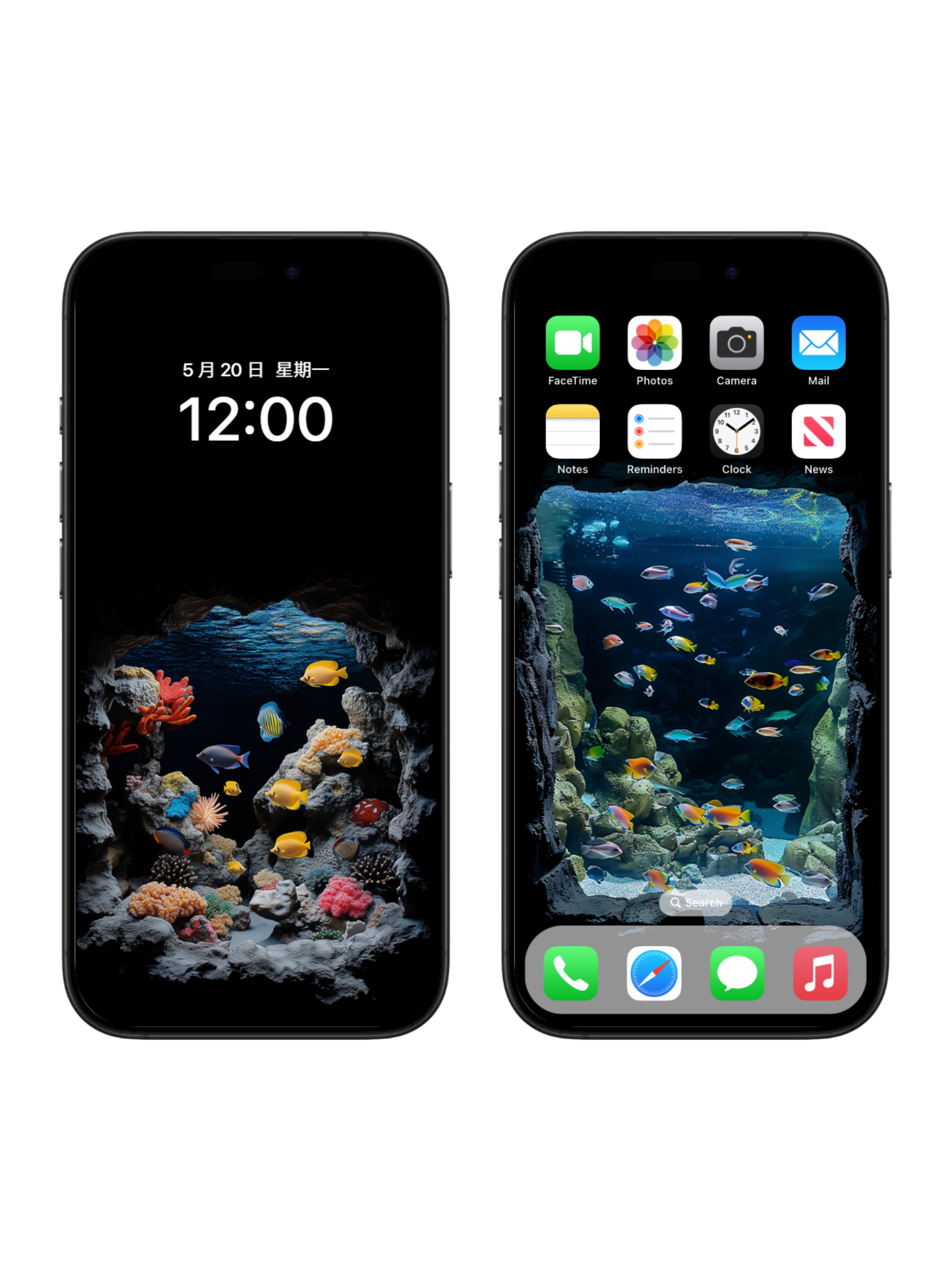 动态壁纸 | 水族馆 |1张苹果动态壁纸+7张手机静态4K高清