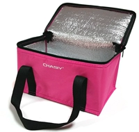 Красная сумка для льда, 2 шт