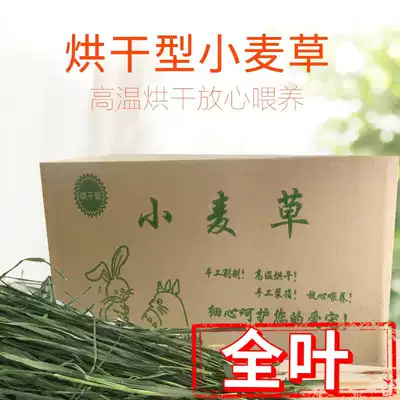 Dried whole-leaf wheat grass tender leaf pet rabbit Dutch pig guinea pig Tianzhu ChinChin forage hay gross weight 1kg