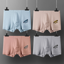 Cotton underwear male high school students in the big boy junior high school students boxer boys 15 years old adolescent development period boxer pants