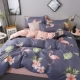 Chăn bông đơn 1,2 giường ngủ sinh viên ký túc xá đơn đôi hai mảnh cotton 1,5m1,8 m - Quilt Covers