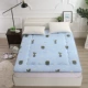 Tatami nệm nệm mỏng trẻ đúp 1,2 / 1,5 m giường 1.8m giường pad thảm không trơn trượt là sinh viên mùa hè - Nệm