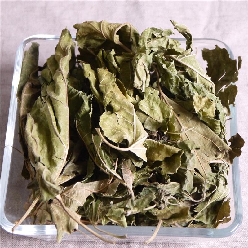 Mulberry leaf 500g Chinese herbal medicine big mulberry leaf dry family mulberry Jing mulberry mulberry tree yellow mulberry non-tongrentang wild
