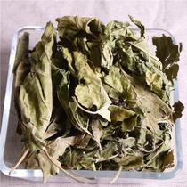 Mulberry leaf 500g Chinese herbal medicine big mulberry leaf dry family Mulberry Mulberry tree yellow mulberry non-Tongrentang Wild