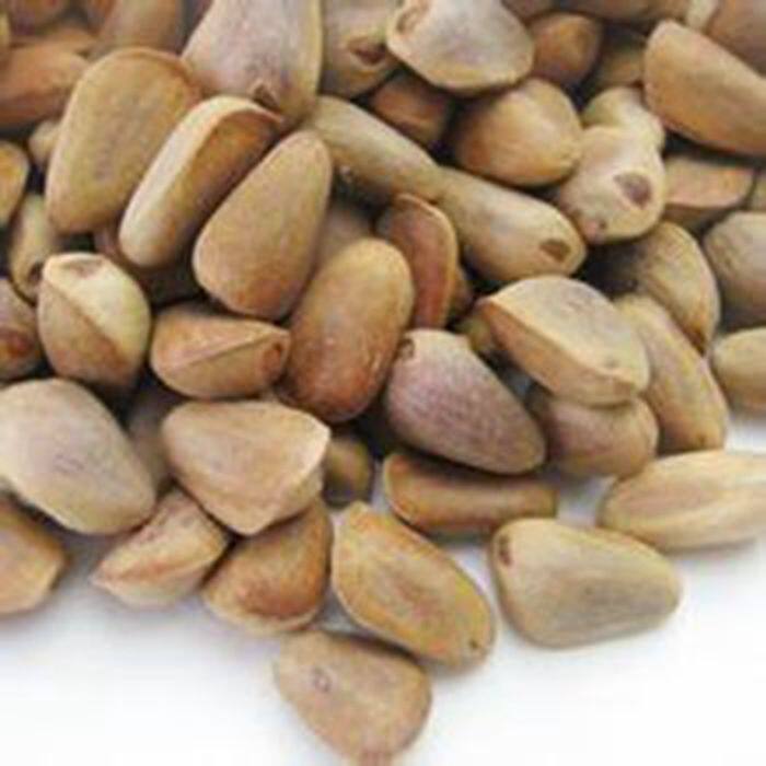 New goods (raw)Northeast red pine nuts Big red pine nuts do not open unprocessed bright hair pet food origin delivery