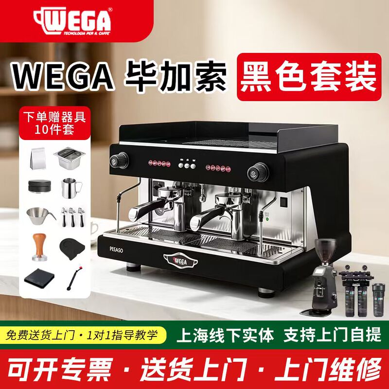 Wega Pegaso Picasso Coffee Machine Dual-Head E61 Professional Italian Semi-Automatic Tall Cup Electric Control Extraction Commercial Use