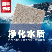 Taiwan GAE square brick removal NO3 God brick no1 aquarium fish pond denitrifying bacteria fish tank filter material Water purification