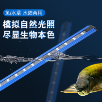 Light teryfish tank lamp LED lamp waterproof aquatic straw lamp diving lamp dragon fish lamp aquarium lighting lamp bracket fixed