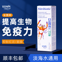 TM whole bacteria seawater nitrifying bacteria inhibition of red mud membrane nitrifying bacteria live bacteria liquid whole strain of light seawater digestive bacteria
