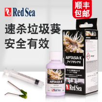 Israel RedSea red sea garbage sunflower Buster cleaning up to remove garbage sunflower medicine algaecide sea water tank coral tank