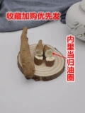 Yixintang Wild Sichuan Angelica Древняя Цинь Гуйчжоу возвращается к порошковому вкусу сладко