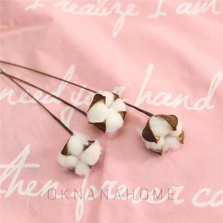 Nordic Industrial Air Dry Flowers Real Flowers Cotton Twigs Art Fan Forest Department Natural Home Decoration Photo Props