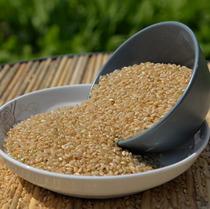 Farmhouse brown rice new brown rice grain coarse grain germ rice 500g germinated Rice