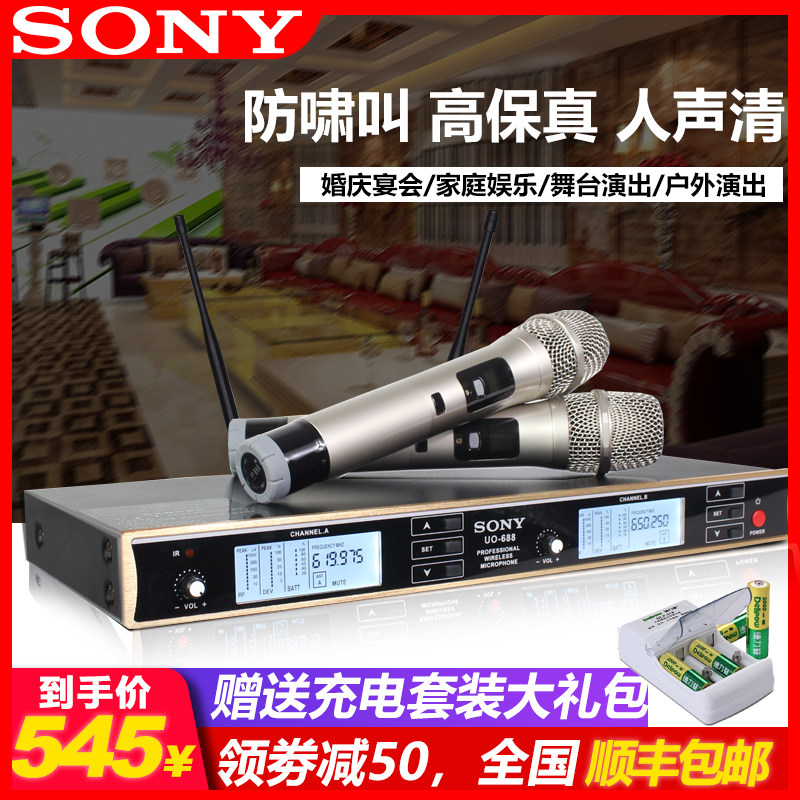 Sony wireless microphone one for two home singing KTV dedicated professional outdoor FM U-segment karaoke microphone