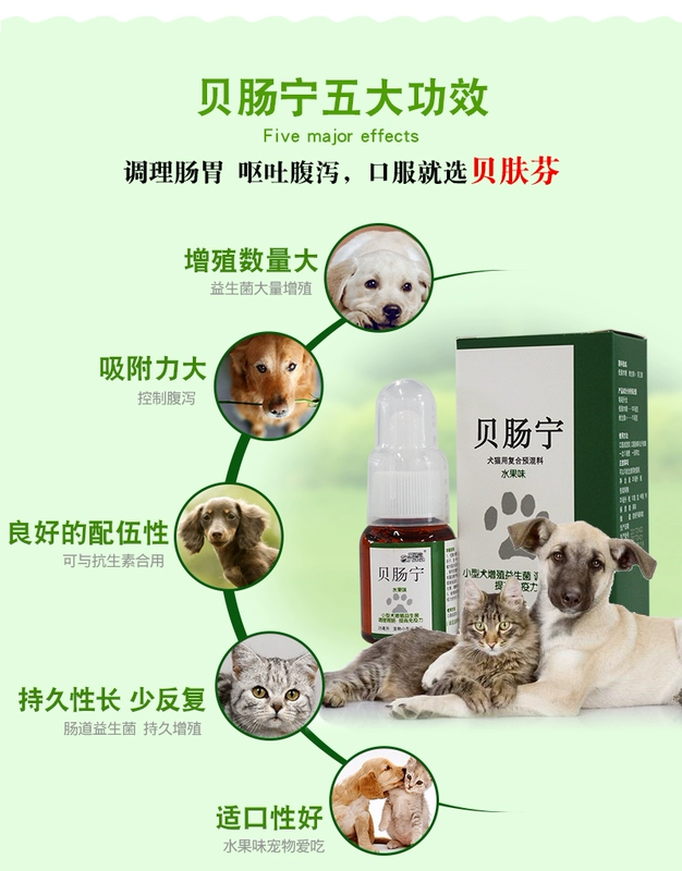 Beichang Ning Taidi Jinmao Bomei Pet Viêm dạ dày ruột Nhiễm trùng đường ruột Nôn mửa tiêu chảy - Cat / Dog Medical Supplies