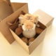 Крылья ручной работы Tiger Luxury Gift Box Gift Bag Bag