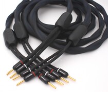 American origin INCRECABLE BASSO overbearing the fever speaker line (8 feet)