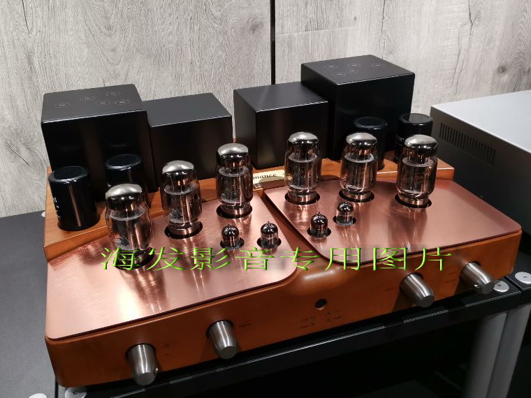 Italian Superior Voice UNISON RESEARCH PERFORMANCE ANNIVERSARY GUINEA