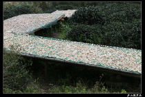 2019 New listing Lushan 800 meters above sea level wild bamboo forest pure natural handmade dried bamboo shoots one kilogram pack