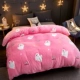 Chăn nhung flannel quilt đơn mảnh chăn đôi đơn 1,5m nhung hai mặt cộng với nhung dày mùa thu đông vỏ chăn