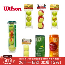теннисный мяч 正品prince/wilson威尔胜儿童网球 初学低压慢速训练网球 海绵球