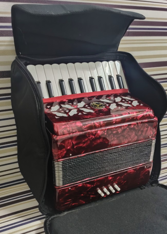 8-120 Bass Bass Thickened and Widened Shoulder Straps Accordion Bag Anti-collision Van Sponge Interlayer Rain Bag