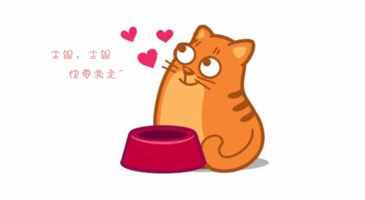 Pantalon collant jeunesse doux en coton - Ref 773656 Image 14