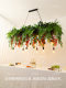 Persimmon Pendant Light Bar Counter Lamp Retro Festive Pastoral Style Homestay Restaurant Cafe Window Shop Plant Pendant Light