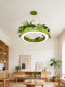 Simple Light Green Pendant Lamp for Guesthouses, Flower Shops, Leisure Areas, Shops, Living Rooms, Coffee Shops, Western Restaurants, and Pastoral Style Decorative Lighting