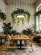Creative Circular Plant Lights for Guesthouses, Western Restaurants, Leisure Areas, Shops, Southeast Asian Offices, Sunrooms, and Forest-Style Pendant Lights