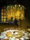 Creative Plant Chandelier, Popular in Music Restaurants, Hotel Private Rooms, Barbecue Restaurants, Bars, and Dining Tables