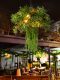 Themed Chandelier, Music Restaurant, Bar, Grill Bar, Quiet Bar, Hot Pot Restaurant, Lobby, Green Plant Decorative Light, Sunroom Plant Light
