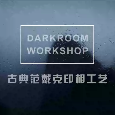 Classical Van Dyke India Workshop Course