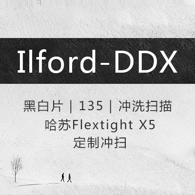 Irfu LFOTEC DD-X 135 black and white negative flushing scan