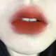 Прозрачная система 04#Maple Ginger и Orange Venteded Prestrent