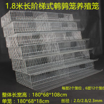 zhi ang new cage quail farming cage bold encryption step 6 Layer 1 is 8 meters in length 12 cage quail out cage