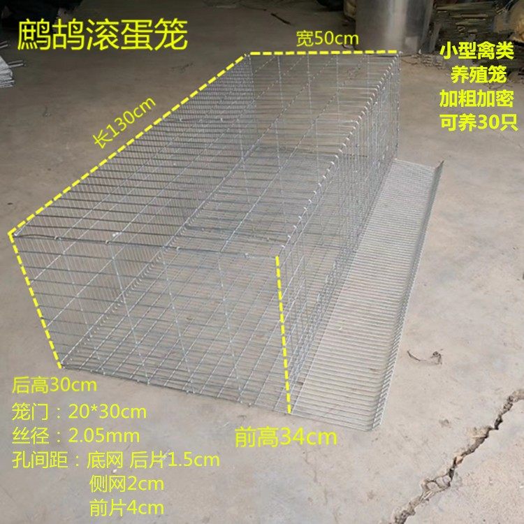 Chiang Parrot Meat Quail Rolling Egg Raising Transportation With Coarse And Intensified Wire Cage Family Raising Quail Cage