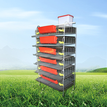 Zhiang new product H-type three-dimensional quail cage full set of accessories meat quail cage multi-layer breeding cage