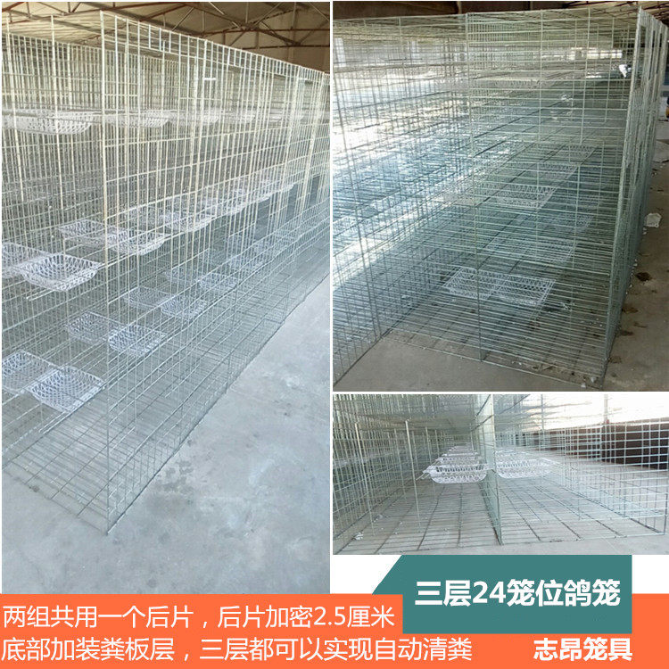 Zhiang New Pint Pigeon Cage Supplies Appliance Letter Dove Meat Pigeon Cage Matchup Cage Meat Dove Back To Back Breeding Cage 24 Caged