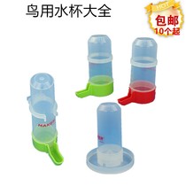 Zhiang bird tiger skin peony Starling Jade Bird thrush parrot external Cup bird brood automatic feeding cup water feeder