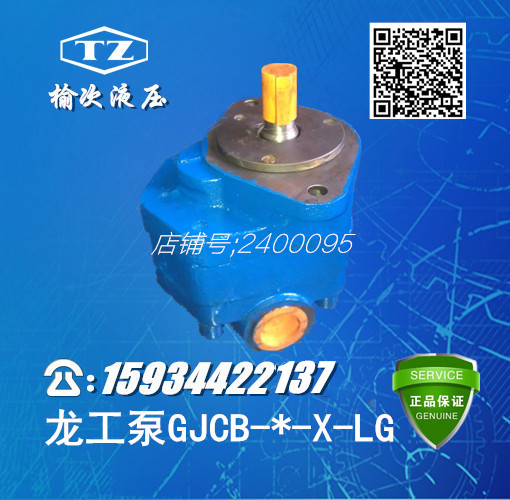 Elm hydraulic gear type oil pump GJCB-40-X-LG GJCB-50-X-LG Longwork Private pump