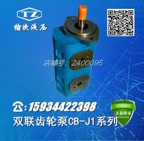 Elm hydraulic double gear pump CB-J1050 050