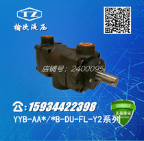 Elm hydraulic medium high pressure duplex vane pump YYB-AA36 36B-Y2 36B-Y2 16B-Y2 16B-Y2