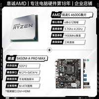 R5 4600G Свободная таблетка+MSI B450M-A Pro Max