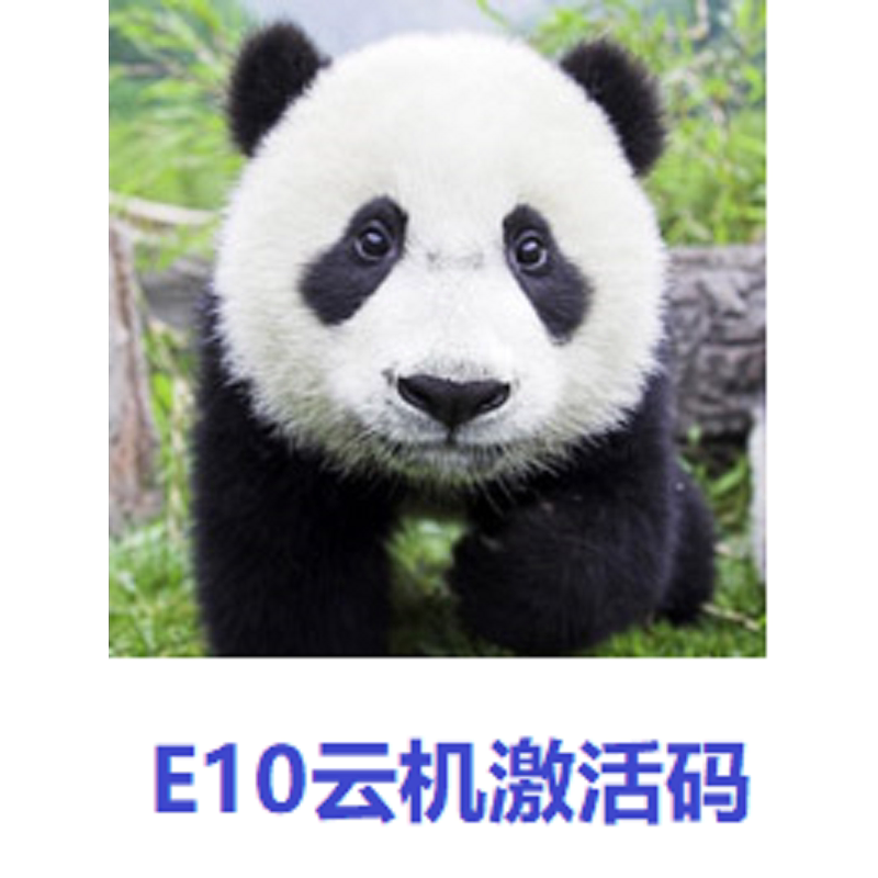 E10 Cloud Machine Activation Code_Only for Use with Our Store's Games