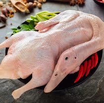 Fresh Duck Frozen Cherry Peach Valley Lean Meat Type White Bar Duck Fresh Duck Roast Duck 2 7 catties